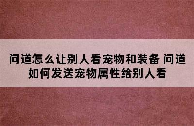 问道怎么让别人看宠物和装备 问道如何发送宠物属性给别人看